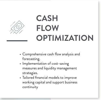 cashflowoptimization.jpg